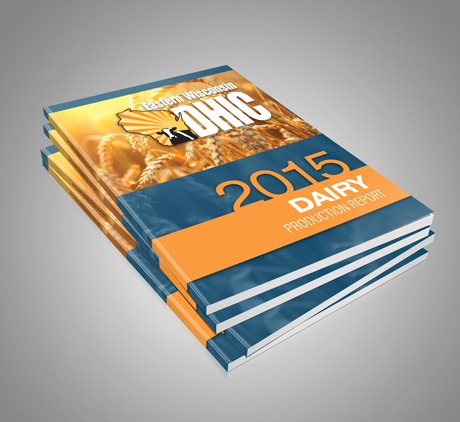 DHIC Annual Report Booklet